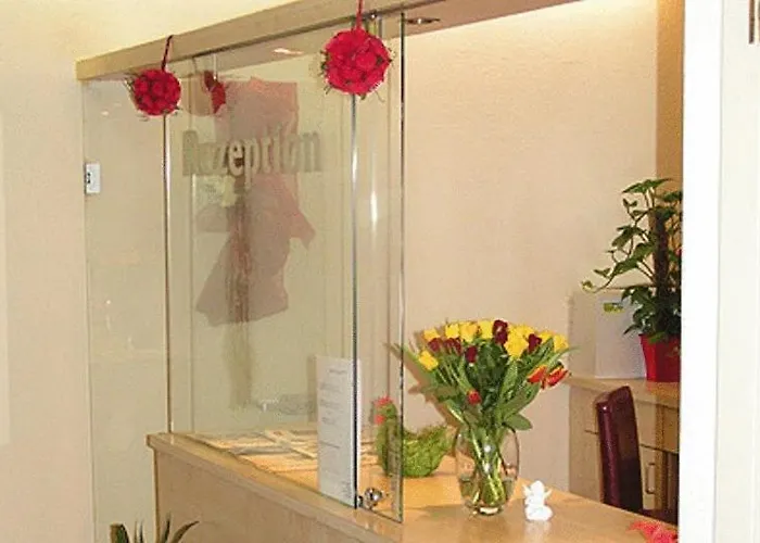 C+m+b 3* 阿克桑姆斯